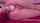 camgirl anal vibrator