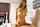 japanese asian tits