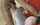 jav japan japanese