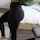 ass leggings fitness