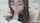 glasses aisian blowjob