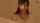 japanese teen wife