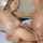 kiss lesbian brunette