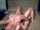 reverse cowgirl tits grabbing amature
