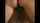 blonde big tits facial