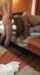 amature threesome gangbang