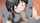 dark hair hentai creampie
