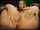 japanese asian masturbation