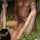 bbc interracial big black cock