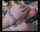 interracial bbc anal