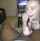bbc interracial blowjob