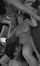 threesome throat mmf