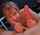 amateur blowjob beauty