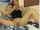 asian chaturbate hot