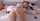 camgirl amateur petite
