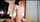 japanese jav shorthair