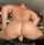 gay bald ass