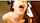 amateur blowjob facial