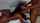 camgirl thick ebony