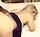 interracial bbc blonde