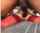 bbc anal interracial