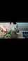 cam girl amateur webcam