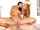 threesome lesbians kissing