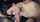 teen blowjob amature