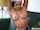 taboo brunette teen