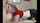 camgirl blowjob amatuer