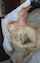 bed white bald guy