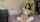 teen camgirl glasses
