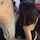 blowjob brunnette beautifull