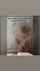 shower sex steamy big tits