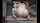 camgirl bigass chubby