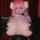 amateur camgirl cosplay