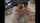 lesbian japanese kissing
