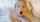 bedroom blond blowjob