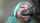 blowjob ebony babe