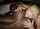 blonde interracial bbc