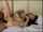 asian japanese cheating