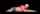 pornstar erowall solo