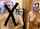 camgirl blowjob fuck