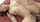 asian cumshot straight