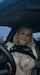 breasts car hot