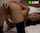 porn ad asian masturbation