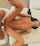 missionary pov slim