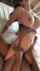 white girl bbc riding