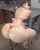 ass boobs latina