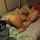 lesbian amateur pussy eating